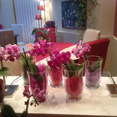 Virgina Otel Paris