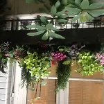 Virgina