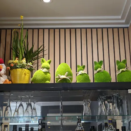 酒店 维吉尼亚酒店 巴黎