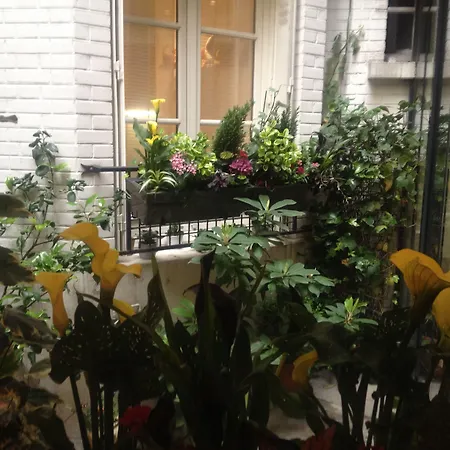 维吉尼亚酒店 3*