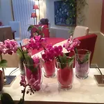 ヴィルジーナ ホテル パリ